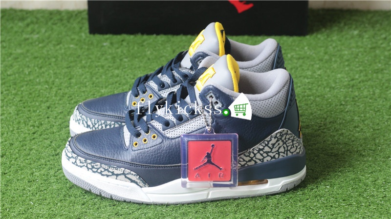 Authentic Air Jordan 3 Retro MICHIGAN PE